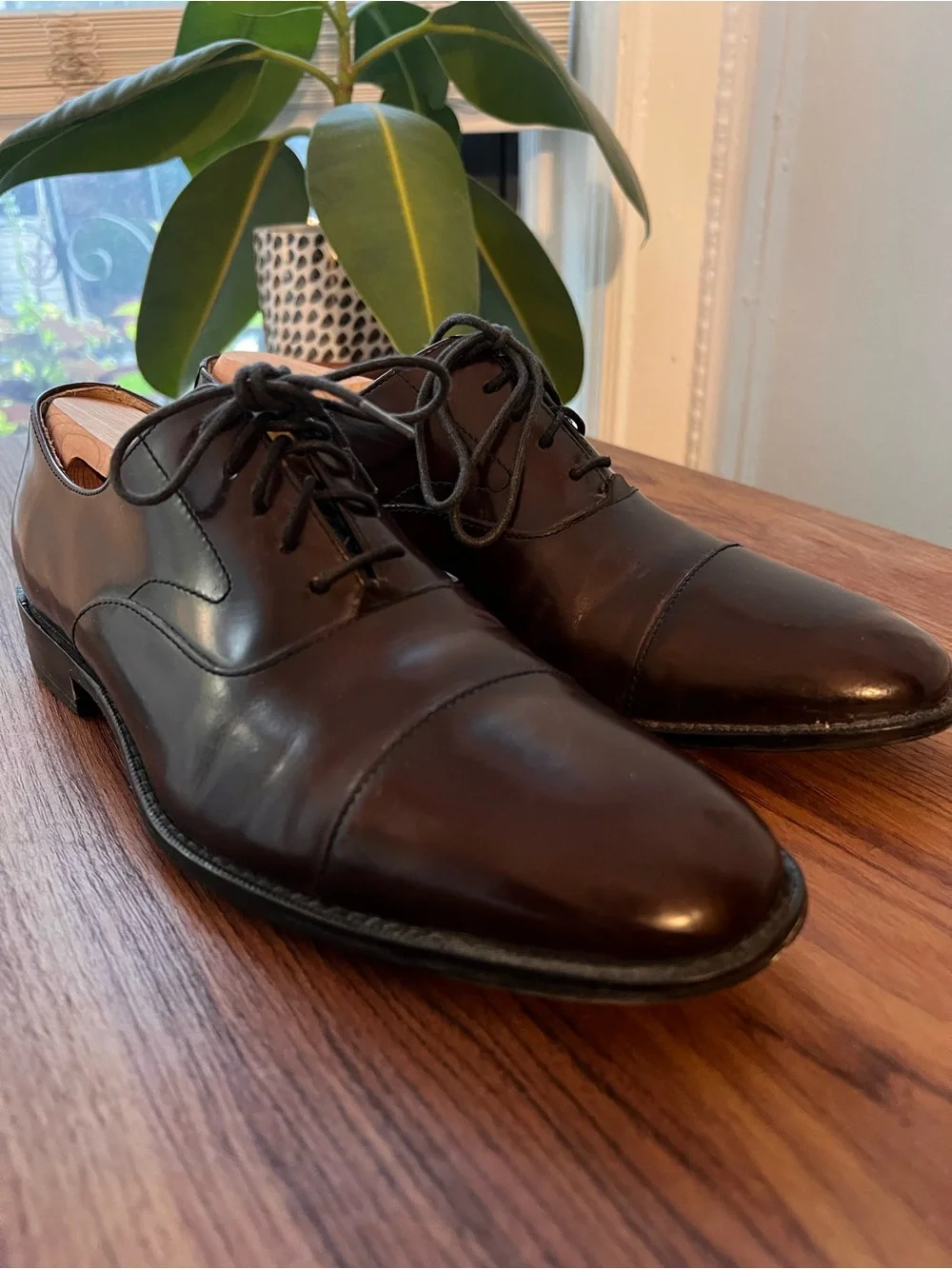 Cole Haan elegant brown